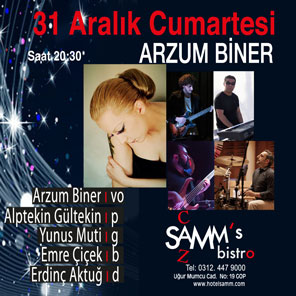 Samm Hotel Ankara Yılbaşı